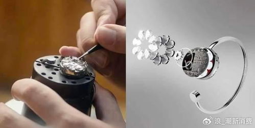 出海8個月沖到購物榜top,對話totwoo 逆境開局,品牌如何打動人心