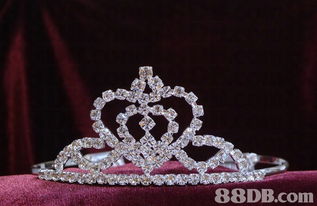 韻富集團提供旅游 鐘表 首飾等產品