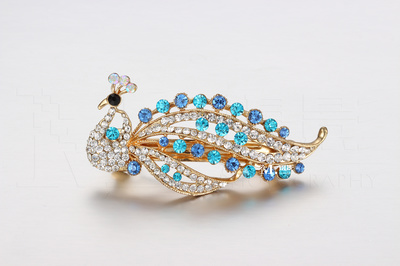 15元的胸針和發(fā)夾 珠寶首飾靜物類攝影 練習(xí)圖 無(wú)修